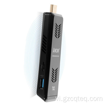 OEM Linux / win10 pro PC Stick